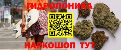 молекула духа Кулебаки