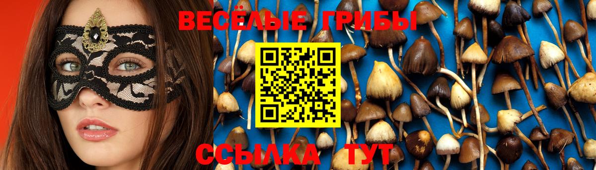 купить наркотик  Псилоцибиновые грибы Psilocybe  Вход с VPN  Волжский 